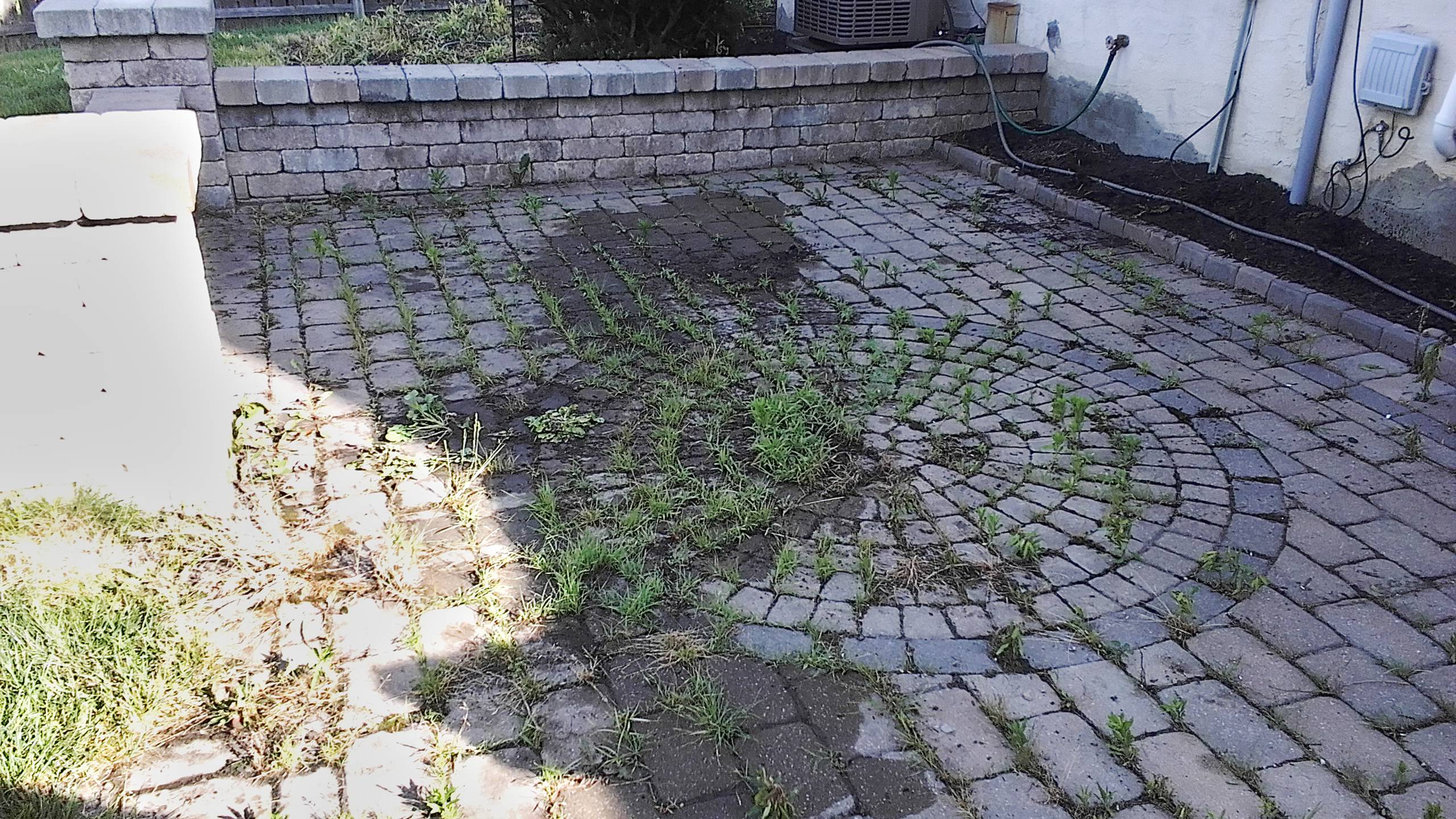 Remove weeds from pavers