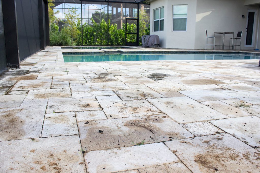 Mold on travertine pavers