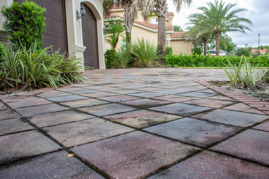 Mold on Concrete Pavers