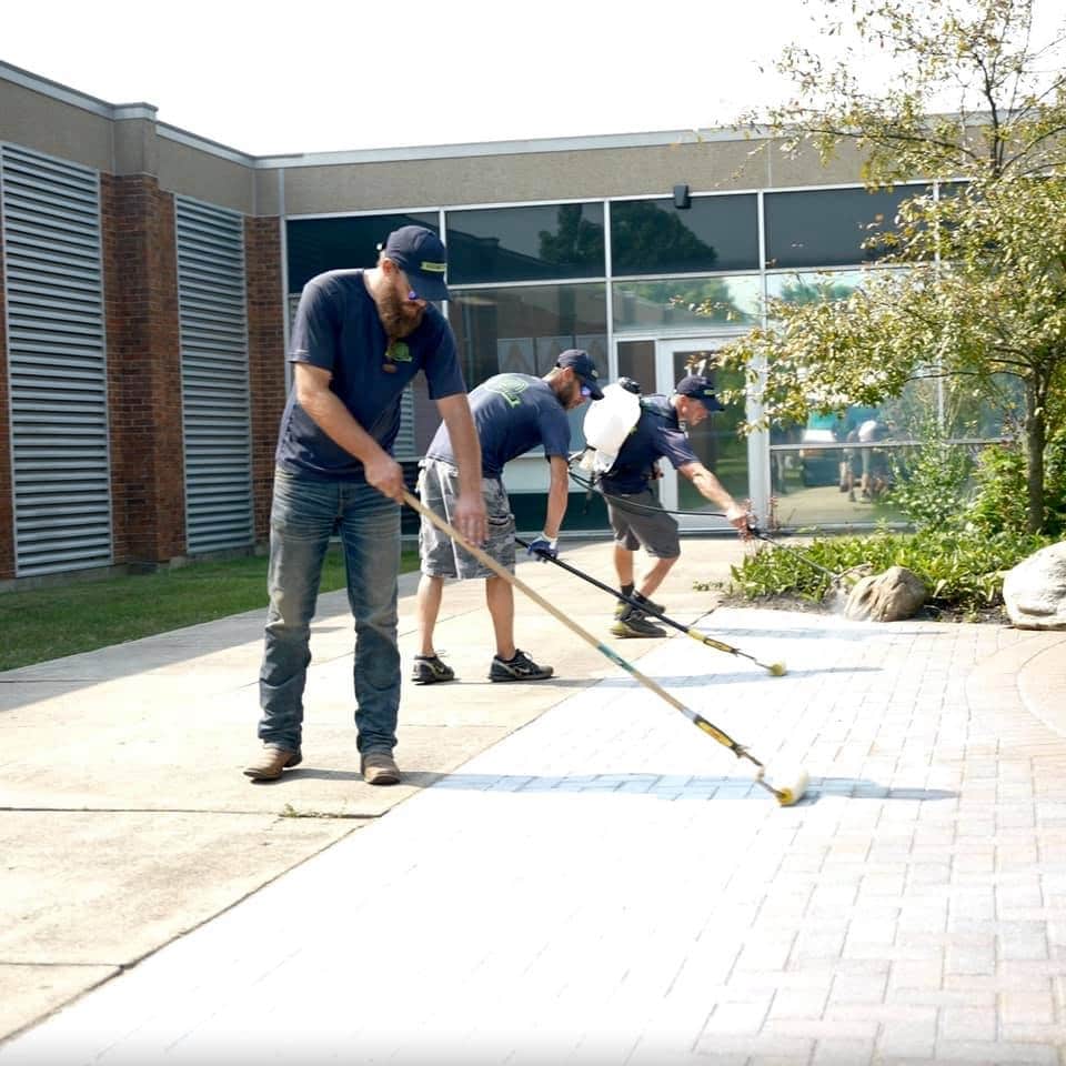 Paver Restoration